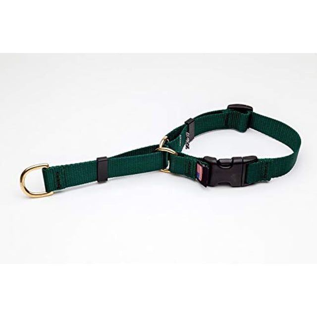 MPP Deluxe Martingale Dog Collar Adjustable Heavy Soft Brass Hardware (XSmall 10 to 14 Inches, Forest Green)