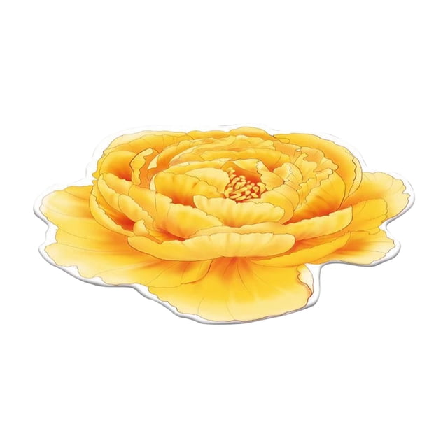 Tapis de Porte Intérieur Tapis de Porte Paillasson Intérieur Entrée Tapis de Sol en Forme Spéciale 3D Fleur Tapis de Porte Intérieur Tapis Diamètre 80cm Tapis Rouge et Blanc pour Salon Prime of Day 32x32 Po