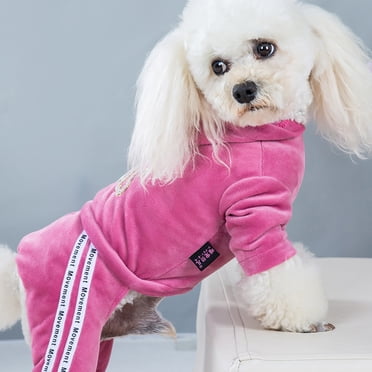 TIMIFIS Dog Clothes Dog Winter Clothes Dog Clothing Autumn And Winter Small Dog Bear Clothing Dog Four Legged Clothing