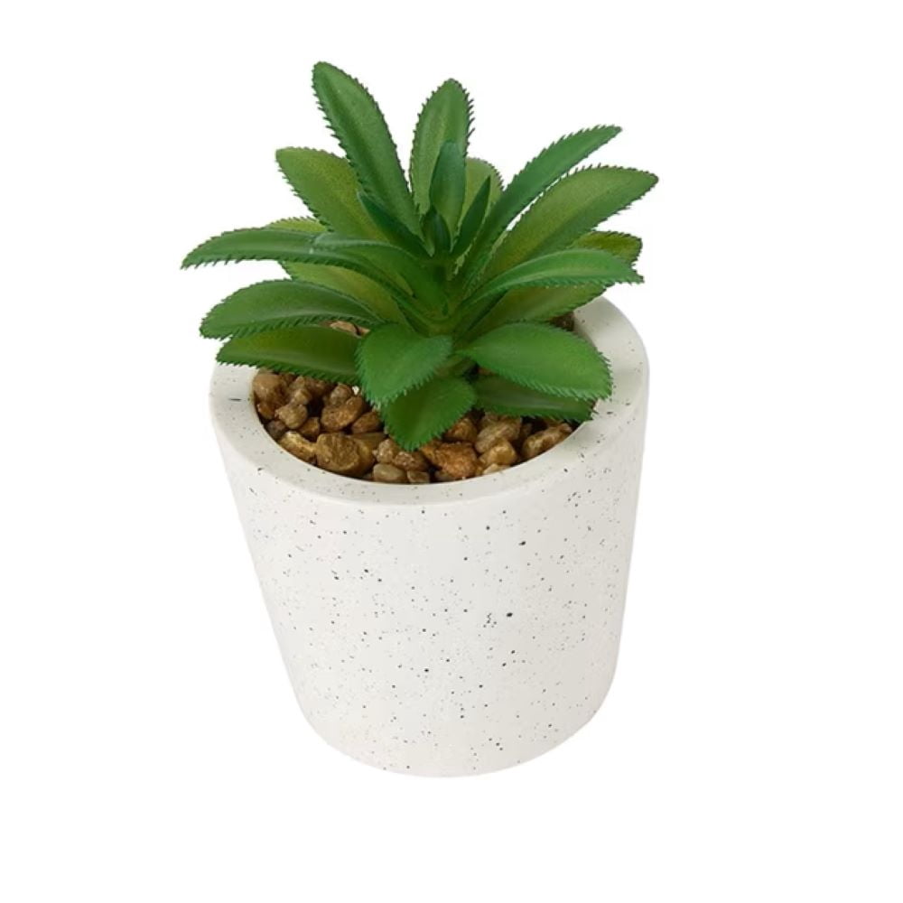 Succulent Artificiel Anko #2 en Pot