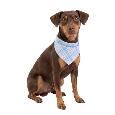One Paw, Dog Bandana, Soft Fabric, Multiple Colors and Sizes