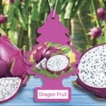 thumbnail image 3 of LITTLE TREES air freshener Dragon Fruit 3-Pack, 3 of 10