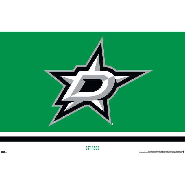 Dallas Stars wall poster showing a large silver and black star logo with a bold letter D in the center on a green background, EST. 1993 printed below on white and black stripes, ideal as sports wall art or hockey team decor.