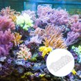 thumbnail image 3 of 23 Plug Holes Coral Frag Rack Acrylic Suction Cup Aquarium Coral Support Holder, 3 of 8
