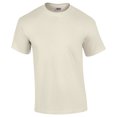 thumbnail image 1 of Gildan Gd 5.3 Oz Cotton Tee, 1 of 1