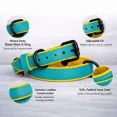 thumbnail image 3 of Dog Collar. Handmade Genuine Leather Dog Collar – Teal with Yellow Inner Liner, Adjustable Buckle. Buddies Collars, 3 of 5