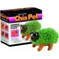 thumbnail image 1 of Kitten Chia Pet, 1 of 1