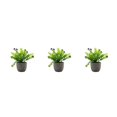 thumbnail image 3 of Decodeary Green Eco-friendly Artificial Money Tree In Pot Long-lasting Durability Realistic Appearance purple babysbreath 3Set, 3 of 6