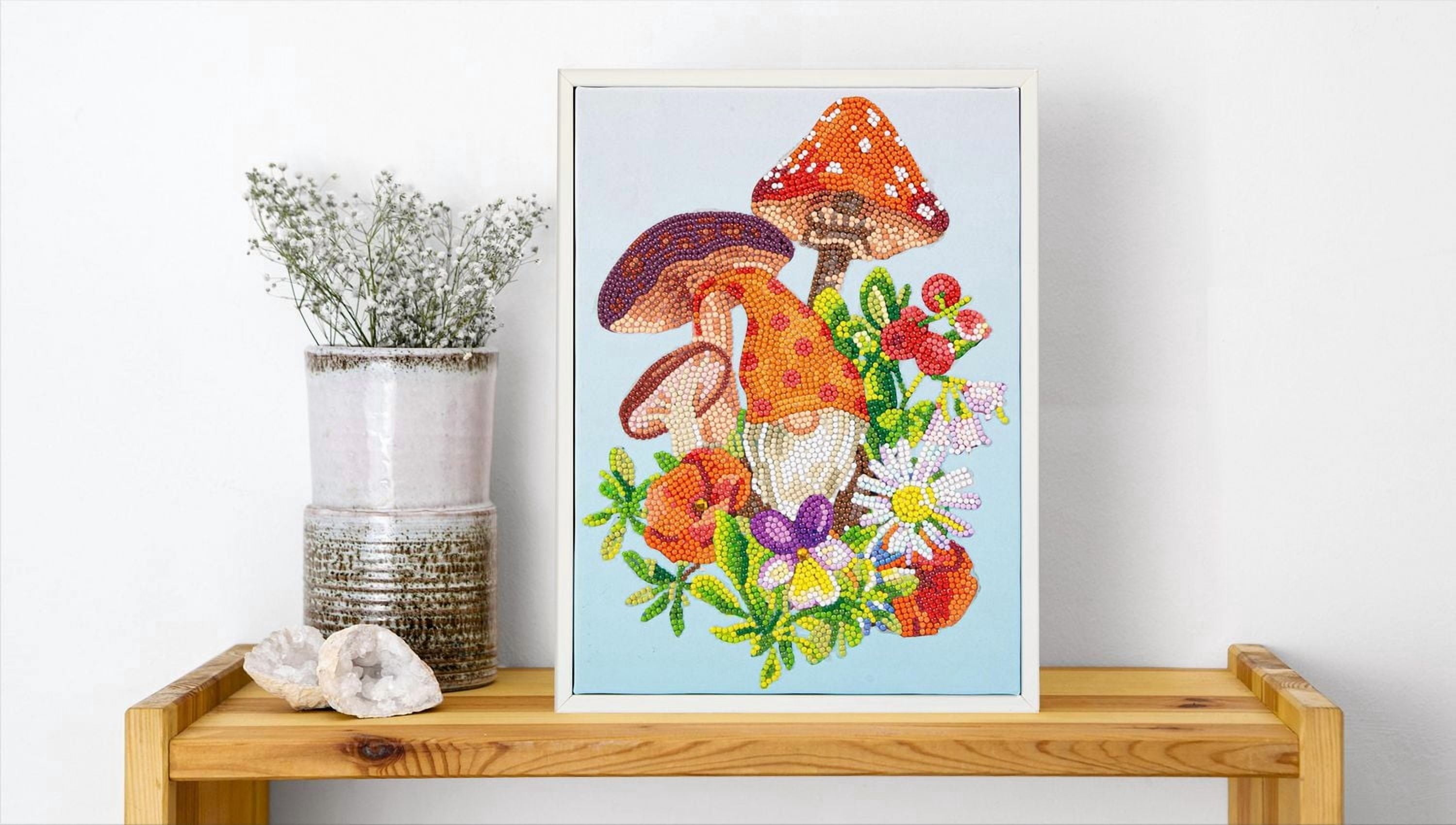 DIAMOND DOTZ® Garden Gnome Special Edition Diamond Painting Kit
