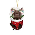 thumbnail image 2 of RKSTN Fall Decorations for Home Funny Christmas Tree Decorations, Suitable For Dogs - Gifts For Dog Lovers - Christmas Decorations - Lovely Stockings Dog Christmas Tree Decorations, 2 of 2