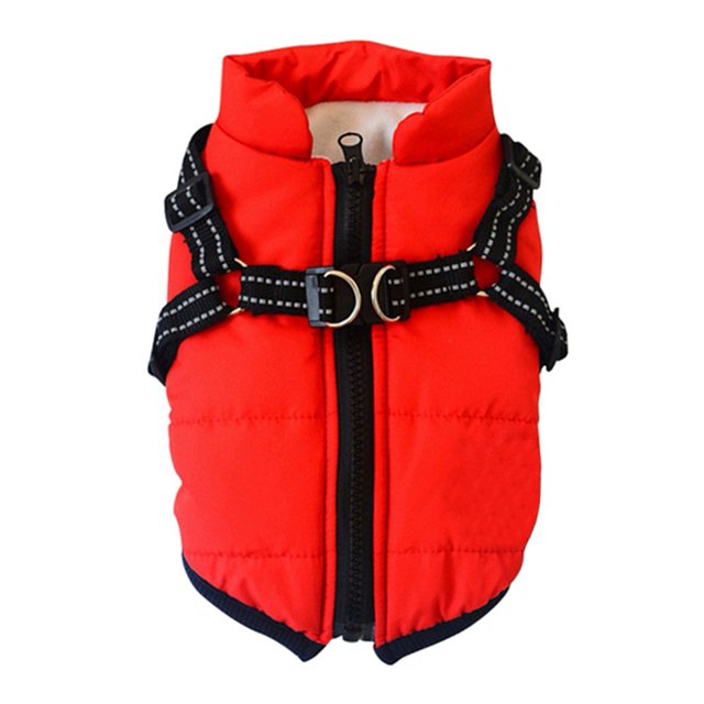 Pet Dog Jacket With Harness Windproof Winter Pet Dog Padded Coat Clothes in a vibrant red color. The jacket features a front zipper closure, adjustable double-sided buckle harness with reflective stitching, and a padded design for warmth. Made from high-quality cotton fabric, it is soft, breathable, and durable, suitable for autumn and winter. The solid color design adds a fashionable touch, and it is easy to clean and maintain.
