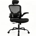 thumbnail image 1 of Ergonomic Office Chair with Adjustable Headrest, Lumar Back Support and Flip-up Padded Arms, High Back Task Chair Breathable Mesh Computer Desk Chair, 320lbs, 1 of 11