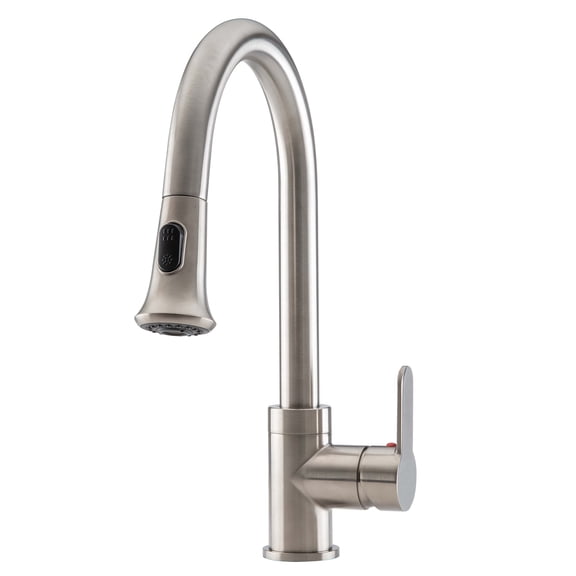 Ancona Rivella Pull-Down Single Handle Dual Spray Kitchenl Faucet in Brushed Nickel