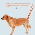 thumbnail image 4 of <p>Dog Back Legs Support Dog Hind Leg Support Dog Rear Leg Support Dog Leg Assist Harness 2Pcs Dog Back Legs Support Harness Soft Coral Velvet Adjustable Strap Dog Rear Legs, 4 of 7