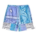 thumbnail image 1 of Men's Boho Summer Board Shorts with Drawstring Waist and Paisley Print for Beach and Pool, 1 of 2