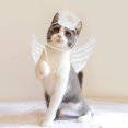 thumbnail image 4 of OULII 1Pcs Warmth In Cold Season Pet Costume With Angel Wings For  Cats, 4 of 5