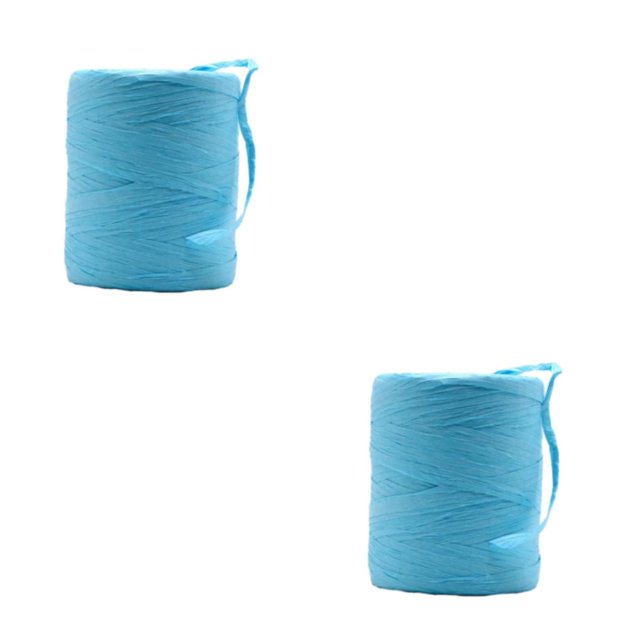 Baohd Fiber Sturdy And Durable Raffia Rope Yarn For DIY Crafts Natural Paper Ribbon Solid Crochet Yarn acid blue 2Set
