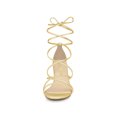 thumbnail image 2 of BLISSFUL STEP Women's Shoes Open Toe Lace Up Block Heel Strappy Heels Gold 11, 2 of 8