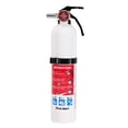thumbnail image 1 of BRK ELECTRON Fire Extinguisher - FE1A10GOWA, 1 of 2