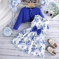 thumbnail image 2 of Splozh Fall Winter Toddler Baby Girl Clothes 2PCS Little Toddler Girls Dress with Cardigan Floral Dresses Ruffle Sweaters Spring Fall Clothes Blue,3-4 Years, 2 of 3