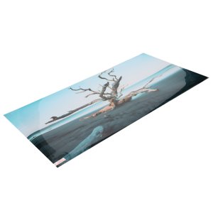 Pvc Aquarium arrière-plan Décor ciel arbre flétris 3D PVC Fond d'écran auto-adhésif réservoir de poisson pour Aquarium réservoir de poissons
