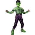 thumbnail image 1 of The Incredible Hulk Bruce Banner Deluxe Boy's Halloween Costume-Large, 1 of 1