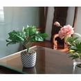 thumbnail image 4 of Lerman Decor's potted plant, 4 of 4