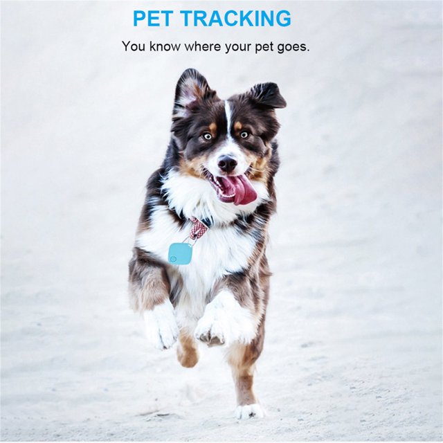 CHOK 82 ft Anti-lost Wireless GPS Tracker Locator Finder For Kid Key Pet Dog Bicycle Bag Black