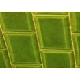 thumbnail image 1 of Ahgly Tapis Rectangulaire Lavable en Machine Intérieur Transitionnel Vert Pistache, 7 Pieds x 9 Pieds, 1 of 7