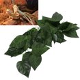 thumbnail image 1 of Hanging Plant False Vine, Simulated Rattan Shape Plastic Fine Workmanship  Shape Climbing Pet Box Green Vine Landscaping  For Decoration For Fish  NFF-80 Fruit Su,NFF-81 Conch, 1 of 8