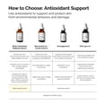 thumbnail image 2 of The Ordinary Multi-Antioxidant Radiance Serum 30ml, 2 of 7