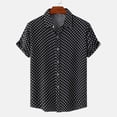 thumbnail image 2 of RKSTN Chemise pour Homme Plage Hawaïenne Décontractée Chemise à Pois Col Rabattu Blouse à Manches Courtes Hauts, 2 of 9
