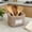 Brown, variant on HBYJLZYG Pink Checkered Cotton Padded Storage Basket, Foldable Breathable Fabric Organizer Bin, Washable Lightweight Desktop Container for Cosmetics Sundries Home Storage