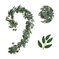 thumbnail image 1 of WRKEKC Clearance Simulated Willows Leaf Eucalyptuss Rattan Artificial Round Apples Leaf Ivy Wedding Party Decoration Eucalyptuss Leaf Rattan, 1 of 6