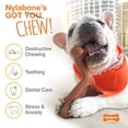 thumbnail image 4 of Nylabone Power Chew Bison Bone Alternative Dog Chew Toy Bison Flavor Large, 4 of 8