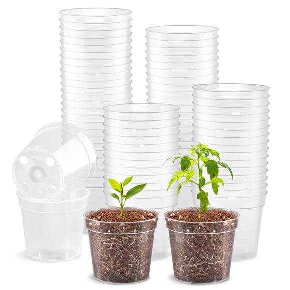 RooTrimmer 2.5" Clear Seeding Pots 100-Pack Round for Seeds Starter Pots, Seeds Germination Transparent Nursery Pot with Drainage