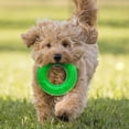 thumbnail image 2 of NERF TPR Beef Super Scent Ring Dog Chew Toy 5in, 2 of 4