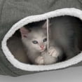 thumbnail image 4 of Catit Vesper Tunnel pour Chat, Gris, 4 of 8