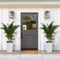 thumbnail image 4 of BeesClover 16 Inch Tall Planter Set of 2 Large Rattan Flower Pot with 2 Trays & a Water Level Monitor & Wheels Outdoor and Indoor for Patio, Porch, Living Room, or Home Office, 4 of 9