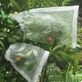 thumbnail image 4 of Pond Netting, 5Pcs Plant Garden Netting Bag Mosquito Net Barrier Bag Fruit Anti-Insect Bag Rice Beache-Breeding Bag, Insect Protection Netting, 4 of 9