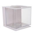 thumbnail image 4 of FRCOLOR Fish Tank Small Fish Tank Transparent Fish Tank Fish Rearing Container Acrylic Fish Tank,7.09"X6.69"X6.42", 4 of 4