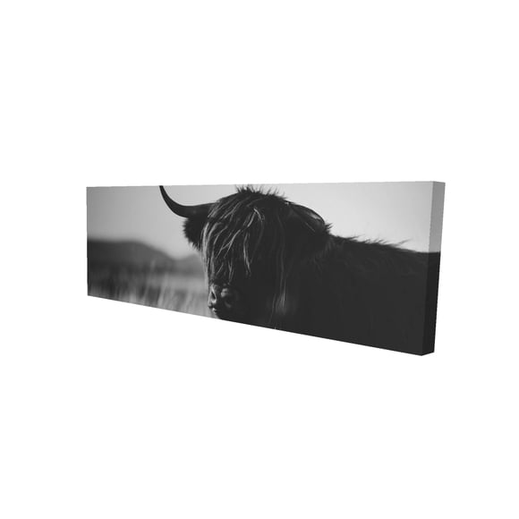 Beautiful monochrome highland cow - 20"x60" canvas - Print on demand