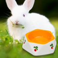 thumbnail image 1 of fastboy Non Slip Rabbit Feeder Bowl Feeding Basin for Hedgehog Gerbils Puppy Kitten 14.5cmx4.7cm, 1 of 9