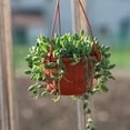 thumbnail image 4 of Flower Basket Reusable Heighten Plastic Hanging Planter Decor Pot for Outdoor, 4 of 10
