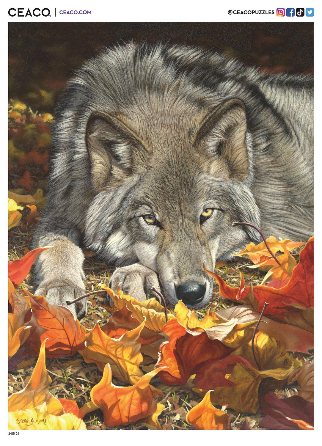 Puzzle en 500 pièces Ceaco Wolf's Contemplation pour adultes, à partir de 14 ans