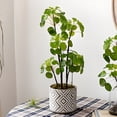thumbnail image 3 of YoGold Climbing Frame 40cm Iron Spiral Tomato Plant Support Stakes 10Pcs, 3 of 9