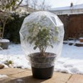 thumbnail image 1 of 10 Pcs Housse Transparente Antigel pour Arbre, SSZMDLB Housse de Protection contre le Gel pour Plantes, Sac de Congélation en Plastique Transparent Réutilisable pour Arbres Arbustes Fleurs, Bouclier pour Plantes par Temps Froid Hivernal, Grandes Plantes 240x210cm, 1 of 6