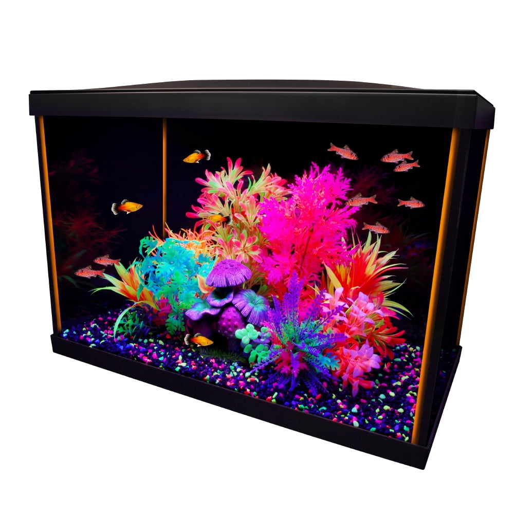 Marina iGlo 20 Aquarium Kit, Fish Tank 75 L (20 US gal)