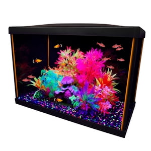 Marina iGlo 20 Kit Aquarium, réservoir de poisson 75 L (20 US gal)