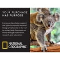 thumbnail image 4 of National Geographic Glow-in-the-Dark Human Body, 4 of 8
